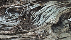 RockCreek (197)